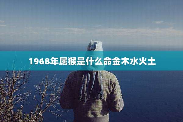 1968年属猴是什么命金木水火土
