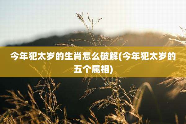 今年犯太岁的生肖怎么破解(今年犯太岁的五个属相)