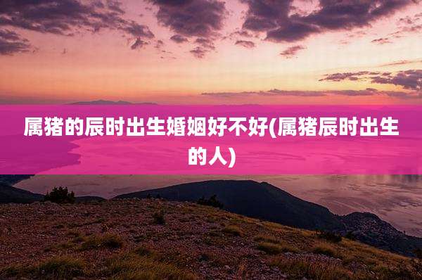 属猪的辰时出生婚姻好不好(属猪辰时出生的人)