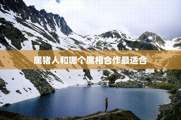 属猪人和哪个属相合作最适合