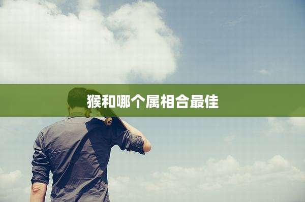 猴和哪个属相合最佳