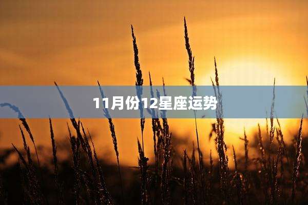 11月份12星座运势