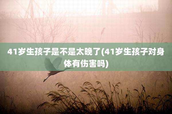 41岁生孩子是不是太晚了(41岁生孩子对身体有伤害吗)