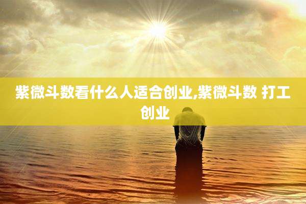 紫微斗数看什么人适合创业,紫微斗数 打工 创业