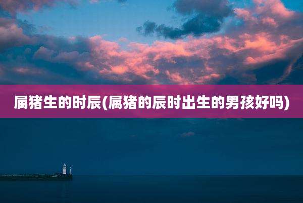 属猪生的时辰(属猪的辰时出生的男孩好吗)