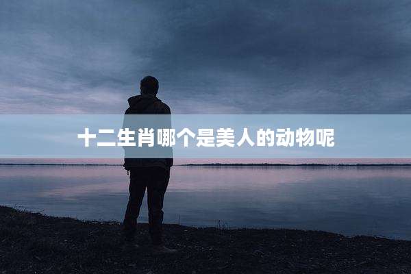 十二生肖哪个是美人的动物呢