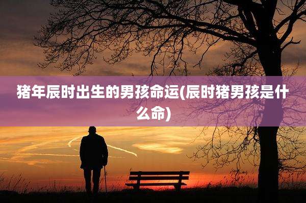 猪年辰时出生的男孩命运(辰时猪男孩是什么命)