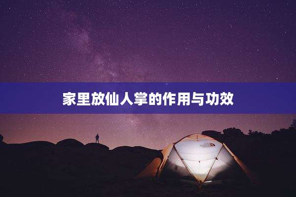 家里放仙人掌的作用与功效