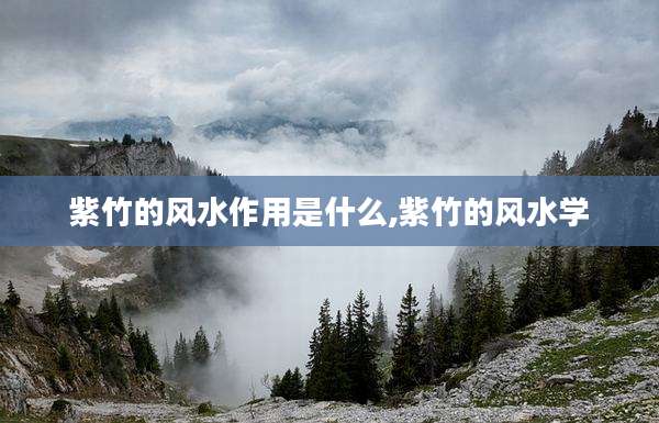 紫竹的风水作用是什么,紫竹的风水学