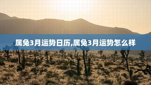 属兔3月运势日历,属兔3月运势怎么样