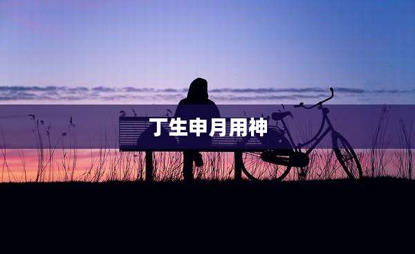 丁生申月用神