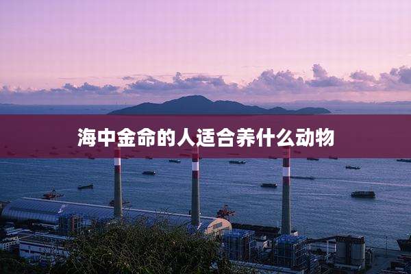 海中金命的人适合养什么动物