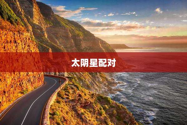 太阴星配对