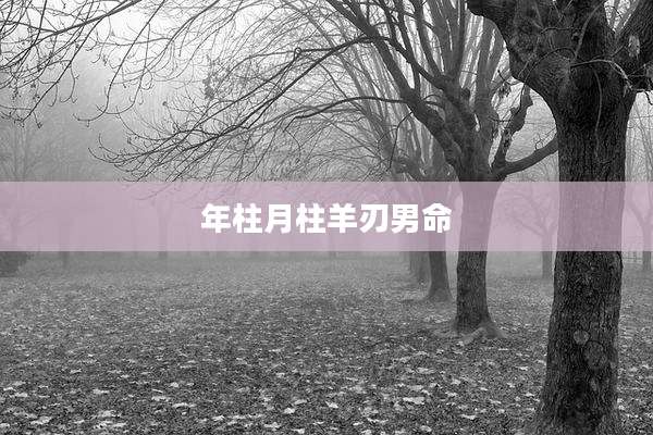 年柱月柱羊刃男命