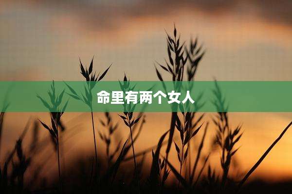命里有两个女人
