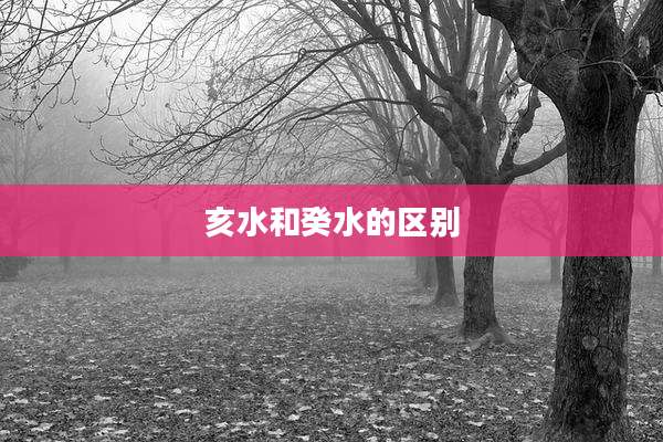 亥水和癸水的区别