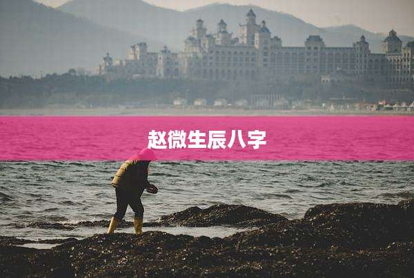 赵微生辰八字