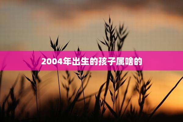 2004年出生的孩子属啥的