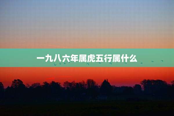 一九八六年属虎五行属什么