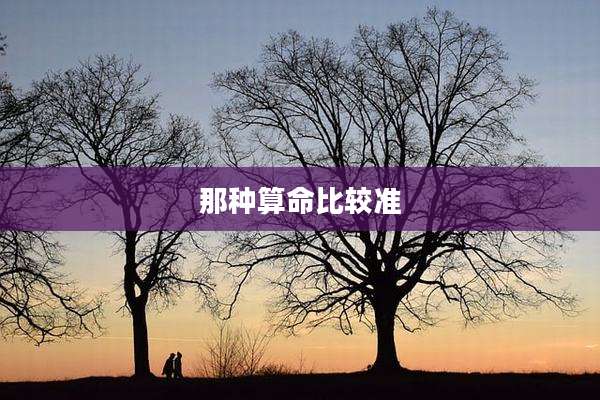 那种算命比较准