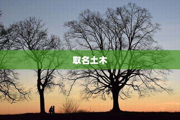 取名土木