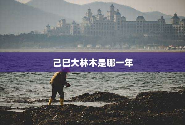 己巳大林木是哪一年