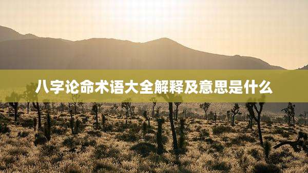 八字论命术语大全解释及意思是什么