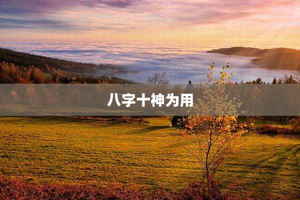 八字十神为用