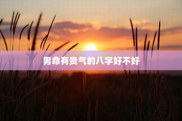 男命有贵气的八字好不好