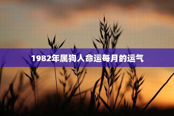 1982年属狗人命运每月的运气