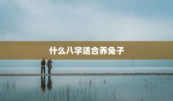 什么八字适合养兔子
