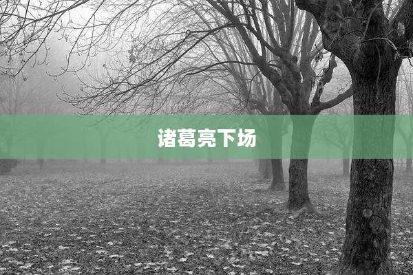 诸葛亮下场