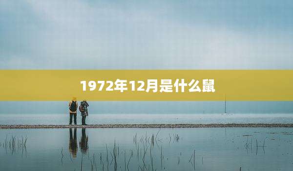 1972年12月是什么鼠