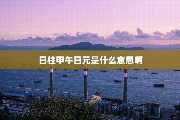 日柱甲午日元是什么意思啊