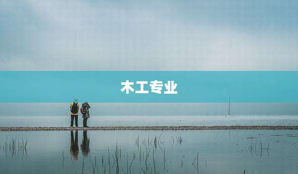 木工专业