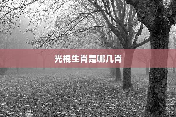 光棍生肖是哪几肖