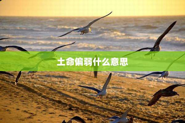 土命偏弱什么意思