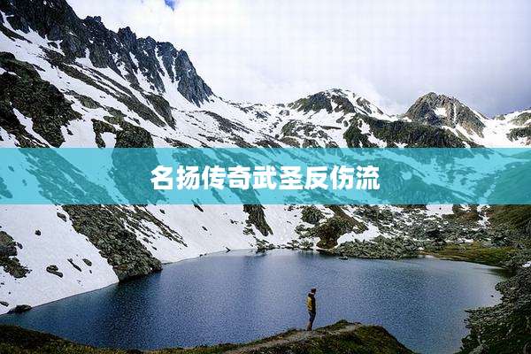 名扬传奇武圣反伤流