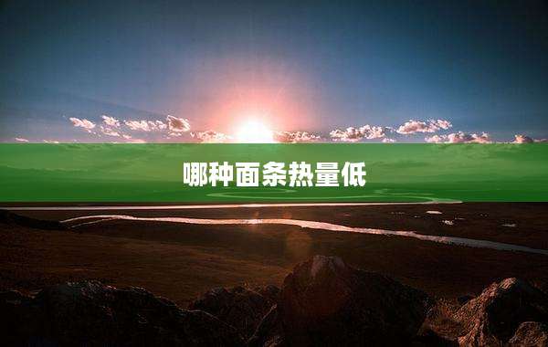 哪种面条热量低