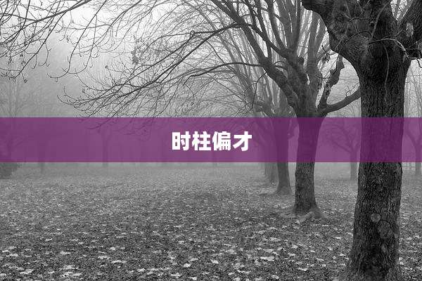时柱偏才