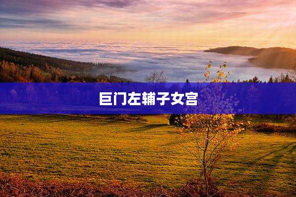 巨门左辅子女宫