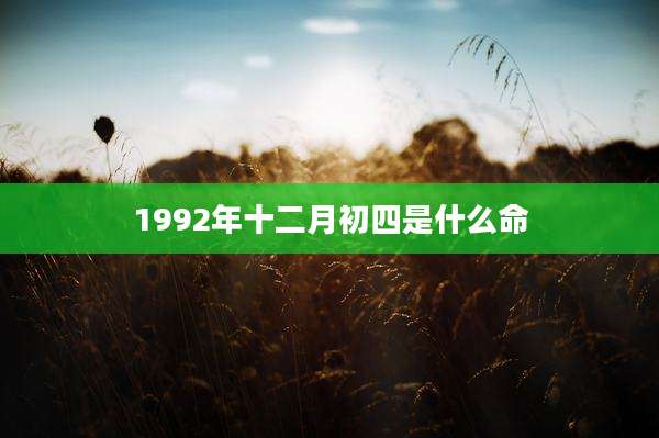 1992年十二月初四是什么命