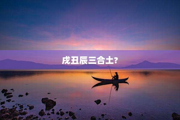 戌丑辰三合土?