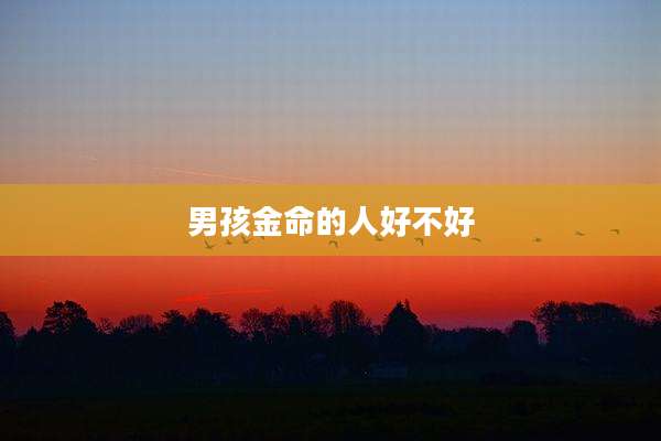 男孩金命的人好不好