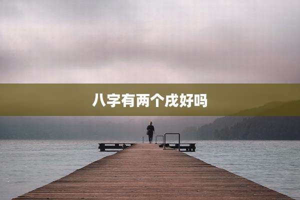 八字有两个戌好吗