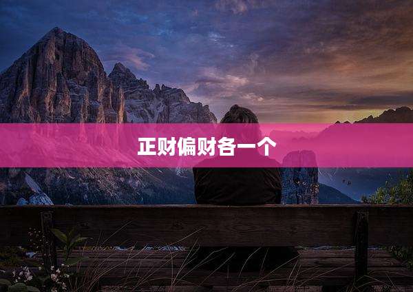 正财偏财各一个