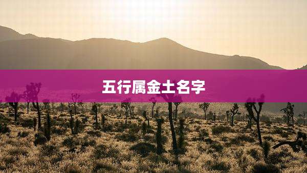 五行属金土名字