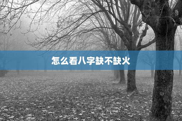 怎么看八字缺不缺火