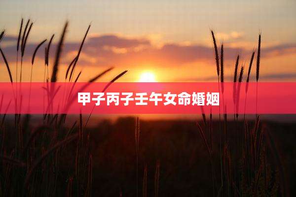 甲子丙子壬午女命婚姻
