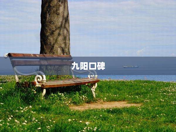 九阳口碑